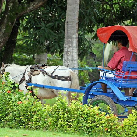 Eco Pousada Paraiso Dos Coqueirais Japaratinga Dış mekan fotoğraf