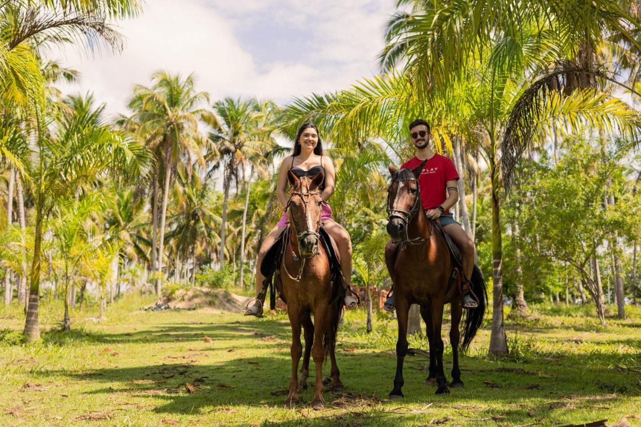 Eco Pousada Paraiso Dos Coqueirais Japaratinga Dış mekan fotoğraf