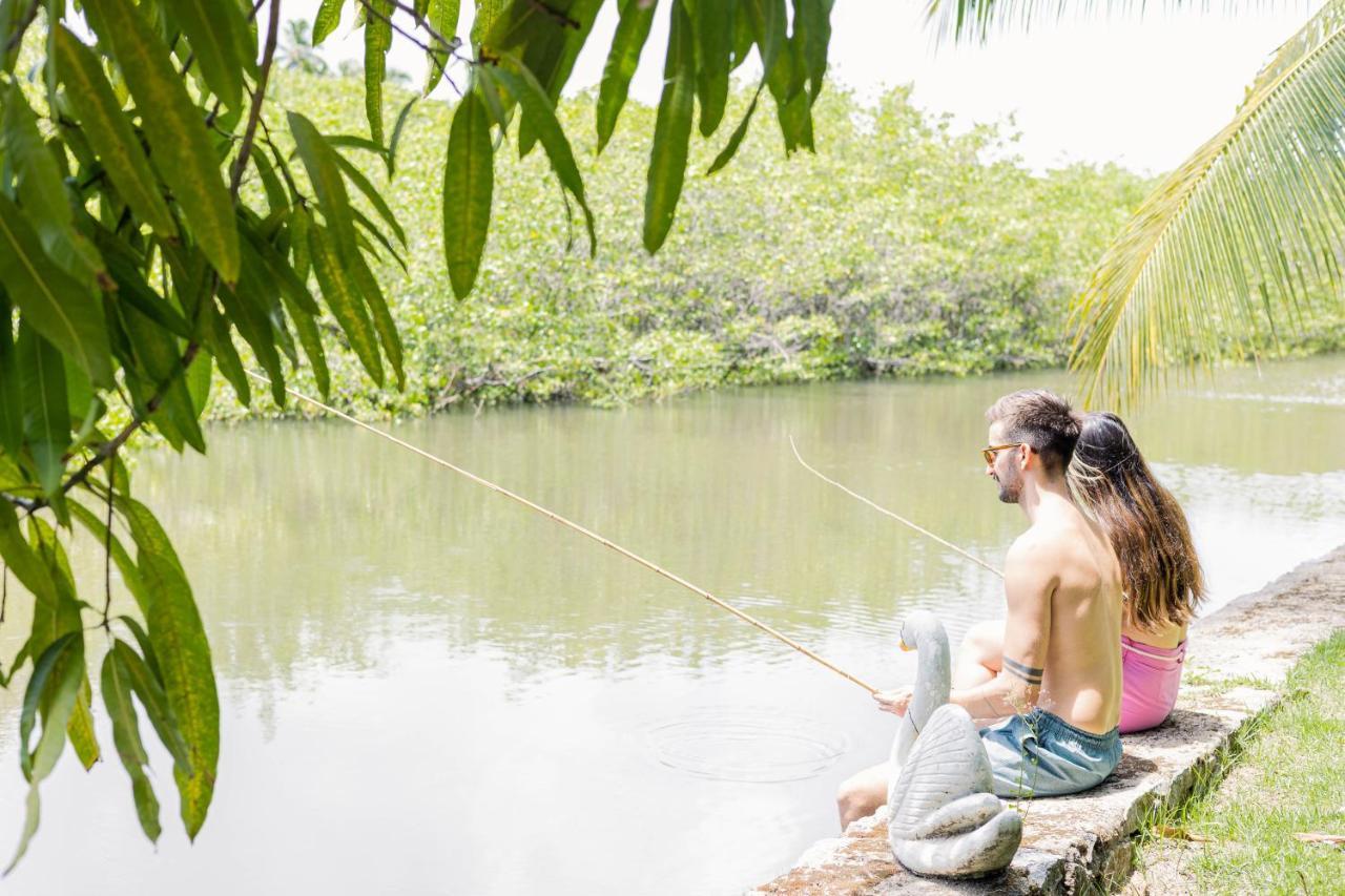 Eco Pousada Paraiso Dos Coqueirais Japaratinga Dış mekan fotoğraf