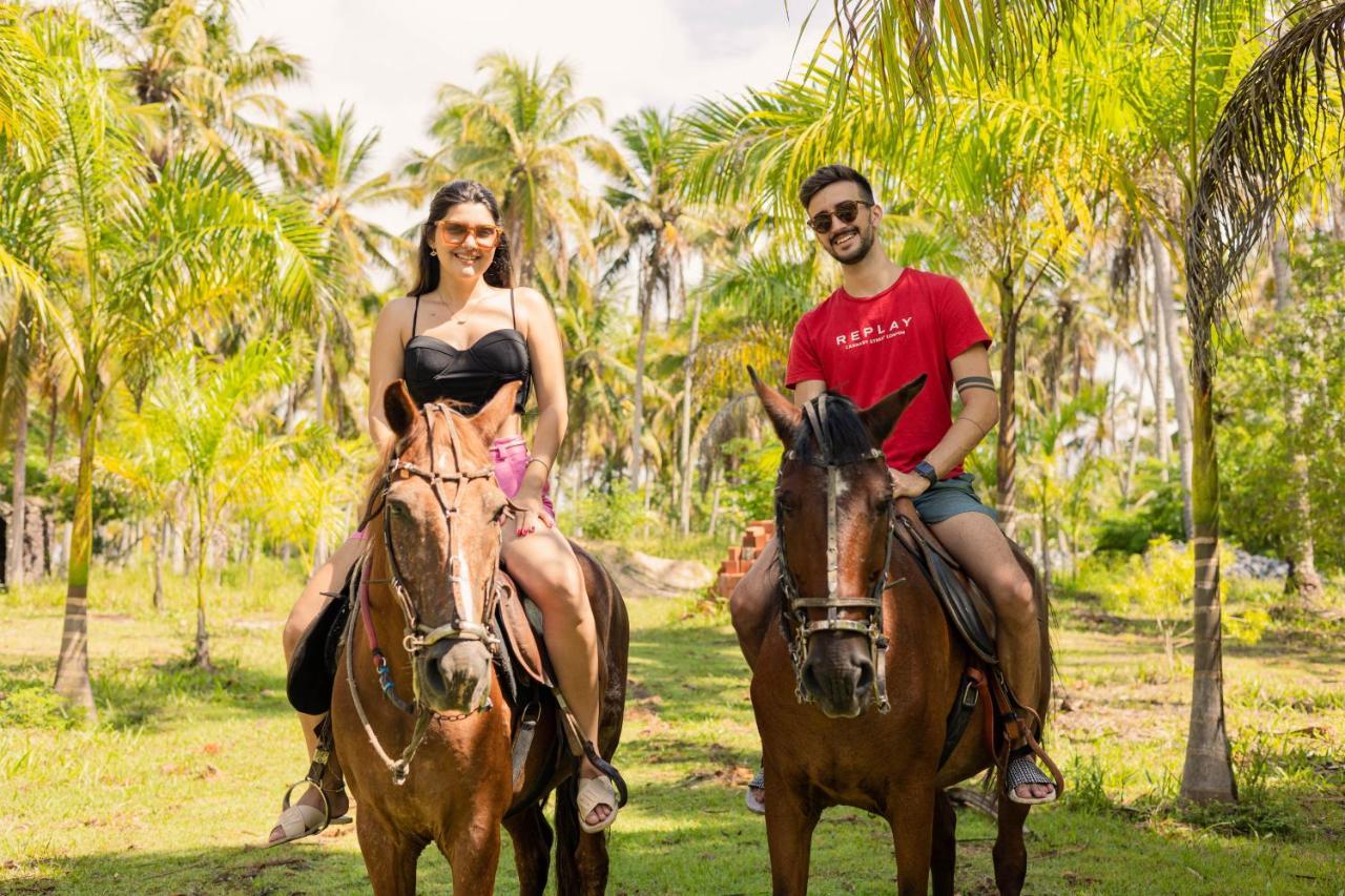 Eco Pousada Paraiso Dos Coqueirais Japaratinga Dış mekan fotoğraf