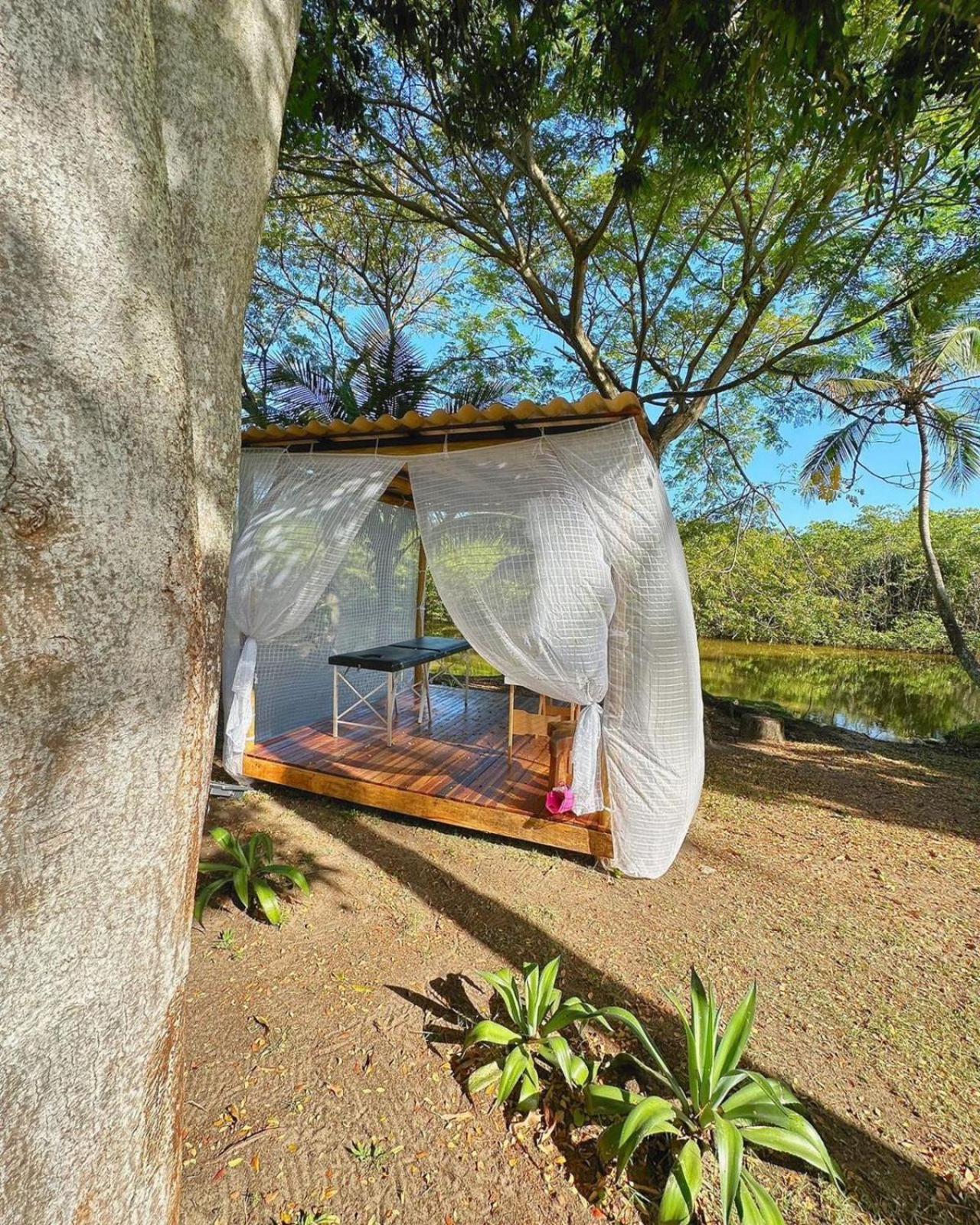 Eco Pousada Paraiso Dos Coqueirais Japaratinga Dış mekan fotoğraf