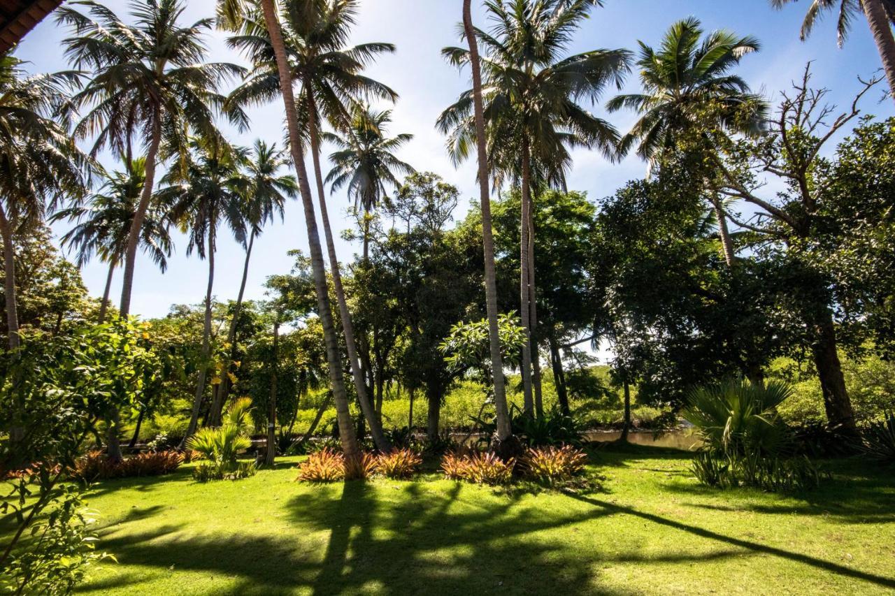 Eco Pousada Paraiso Dos Coqueirais Japaratinga Dış mekan fotoğraf