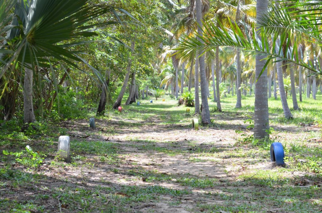 Eco Pousada Paraiso Dos Coqueirais Japaratinga Dış mekan fotoğraf